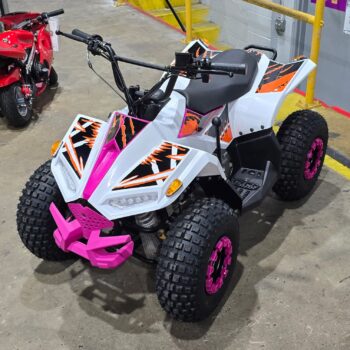 ATV BANDIT 110cc WITH REVERSE ELECTRIC START & HEAD LIGHTS