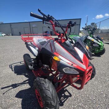ATV BANDIT SPORTS 125cc 3 SPEED TRANSMISSION & REAR BAR