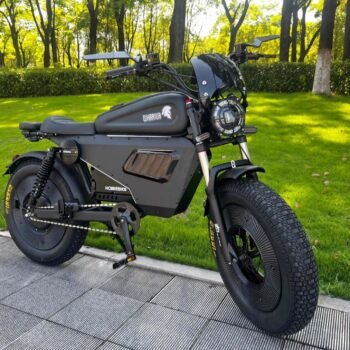 E BIKE WARRIOR ULTRA 3000W 60V50AH