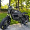 E BIKE WARRIOR ULTRA PRO 3000W 60V50AH